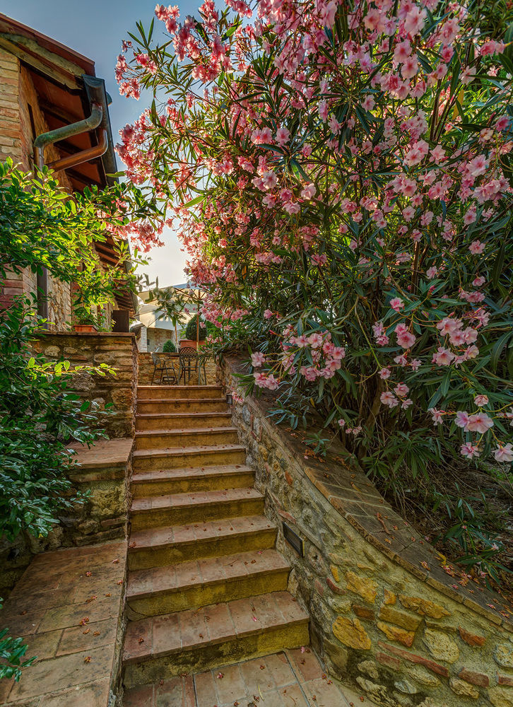 Agriturismo Casanova Di Pescille Сан-Джиминьяно Экстерьер фото